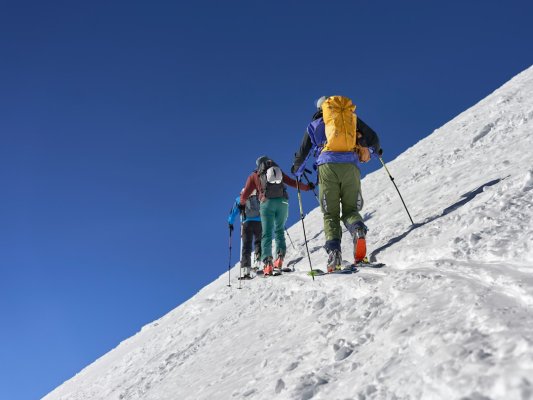 Makale Görseli
